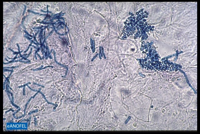 C045