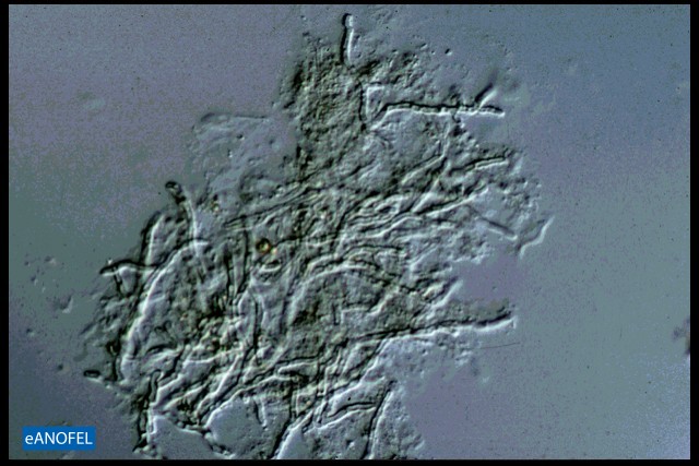 C192