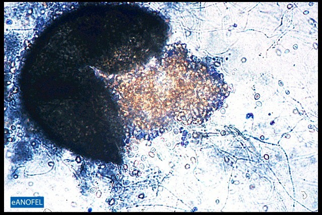C223