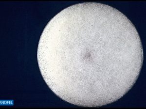 C232