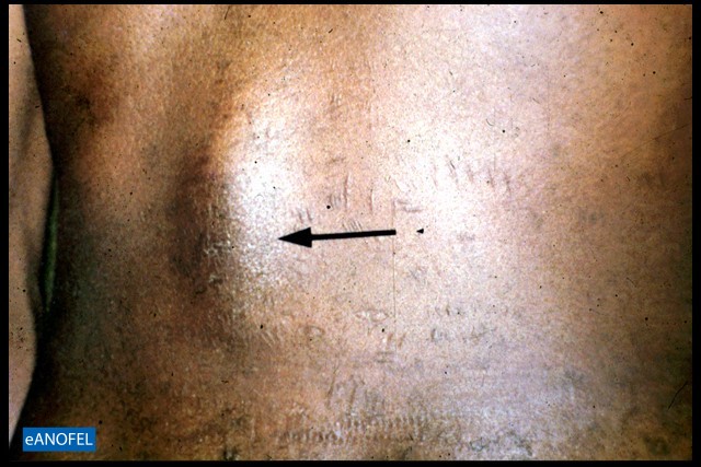 C274