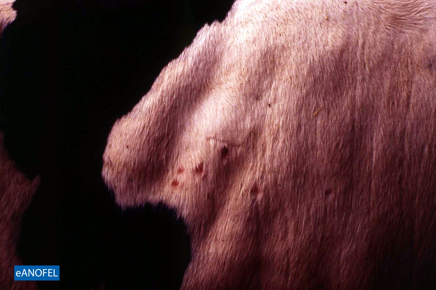 C689