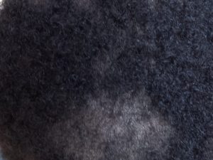 C770