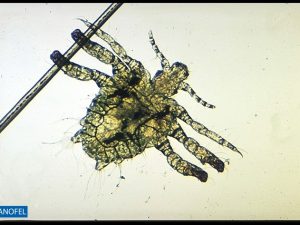 E019