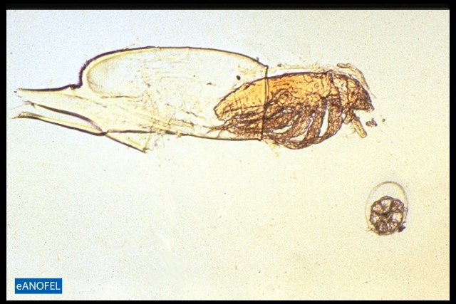 E023