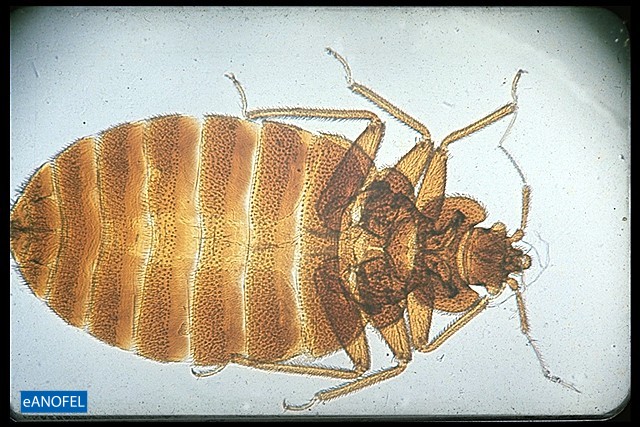 E027
