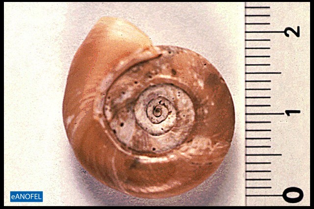 E144