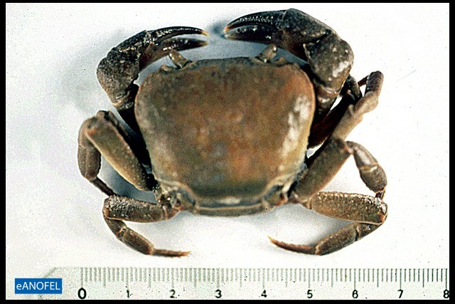 E149