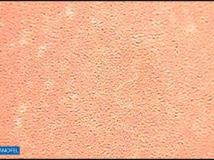 F002