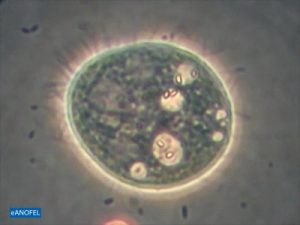 F021