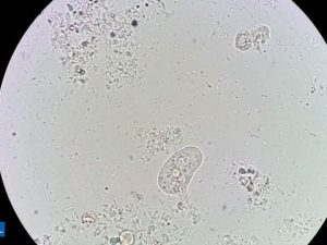 F050