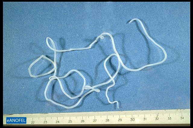 H051