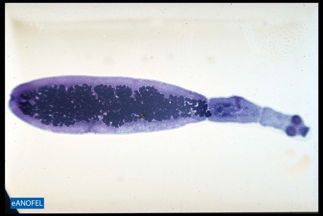 H094