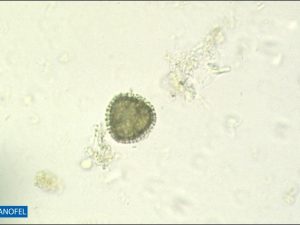 L014