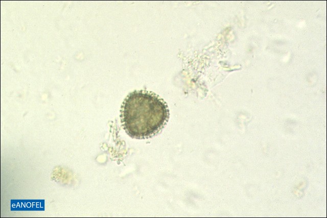 L014