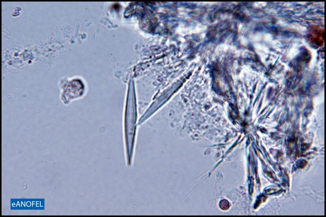 L031