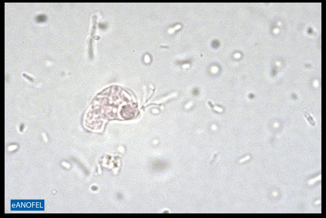 P023