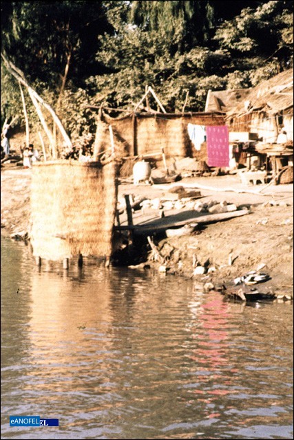R008