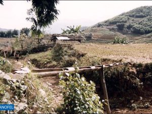 R083