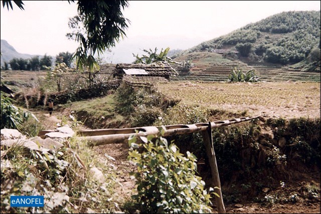 R083