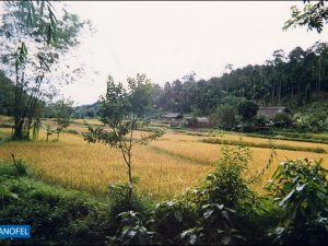 R084