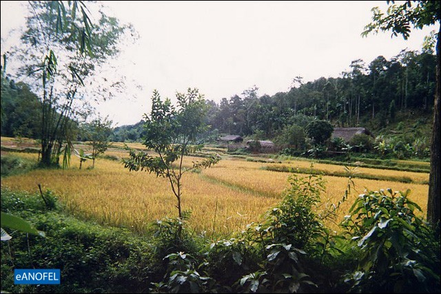 R084