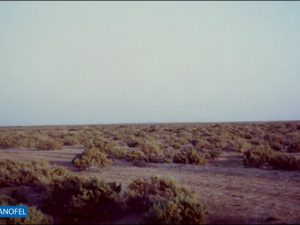 R087
