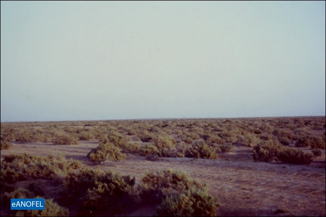 R087
